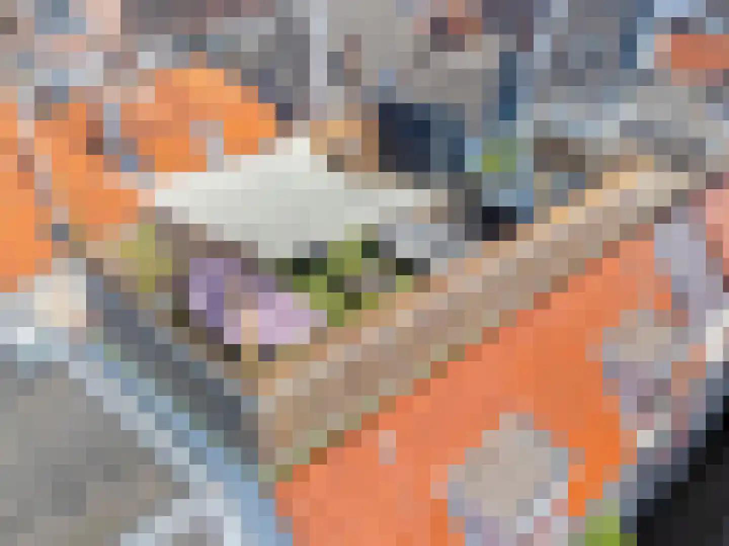 Kloksteeg 17 Utrecht thumbnail 32