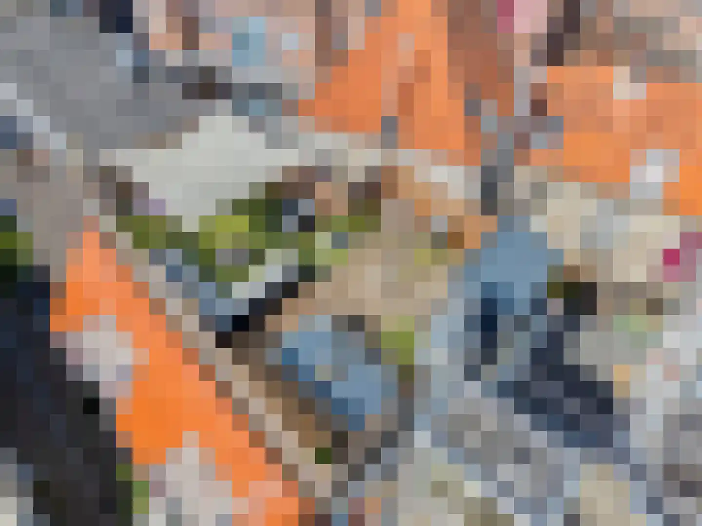 Kloksteeg 17 Utrecht thumbnail 4