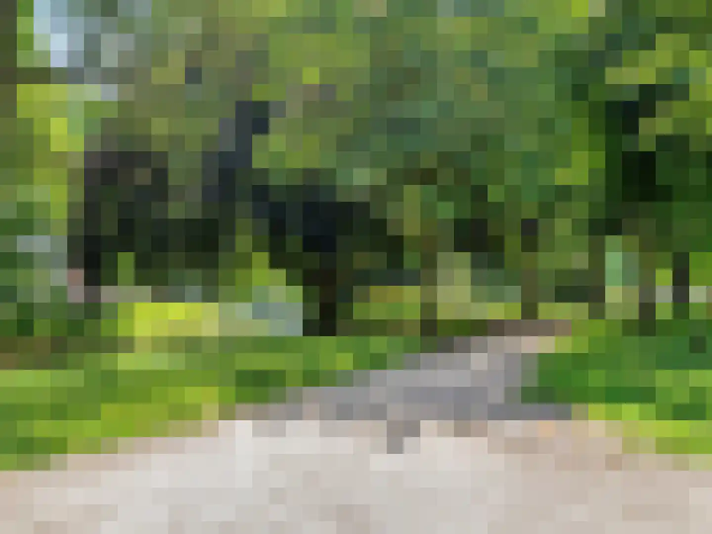 Kloksteeg 17 Utrecht thumbnail 43