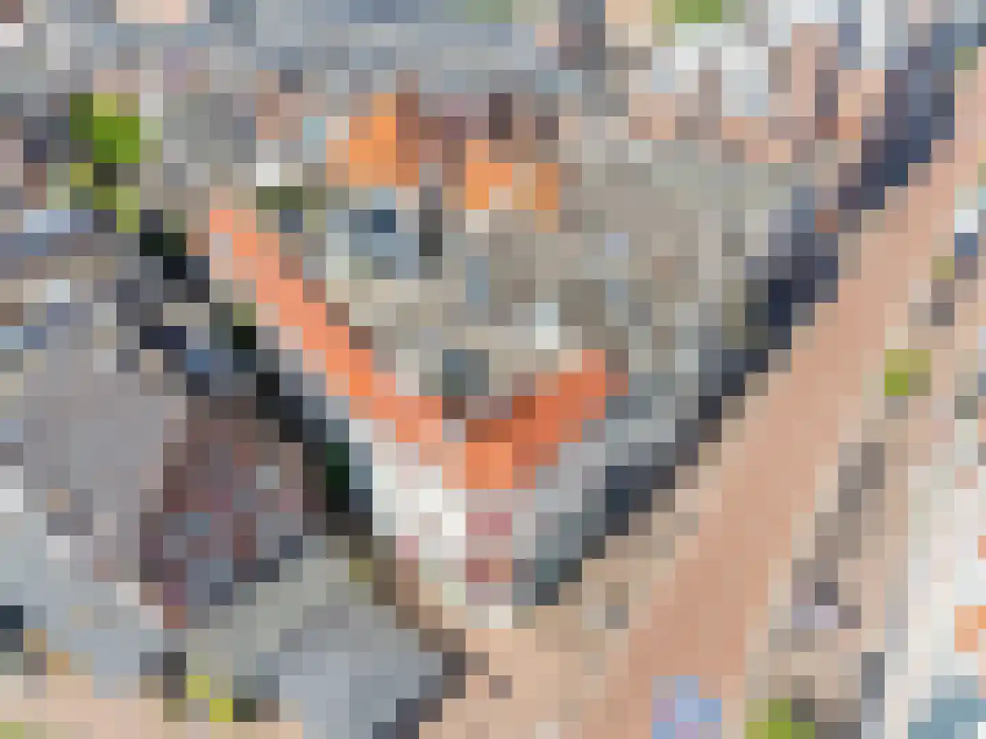 Kloksteeg 17 Utrecht thumbnail 45