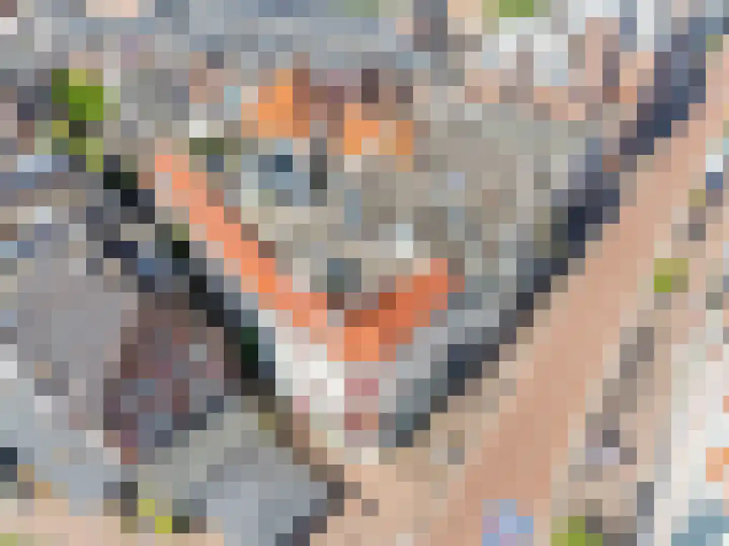 Kloksteeg 17 Utrecht thumbnail 45