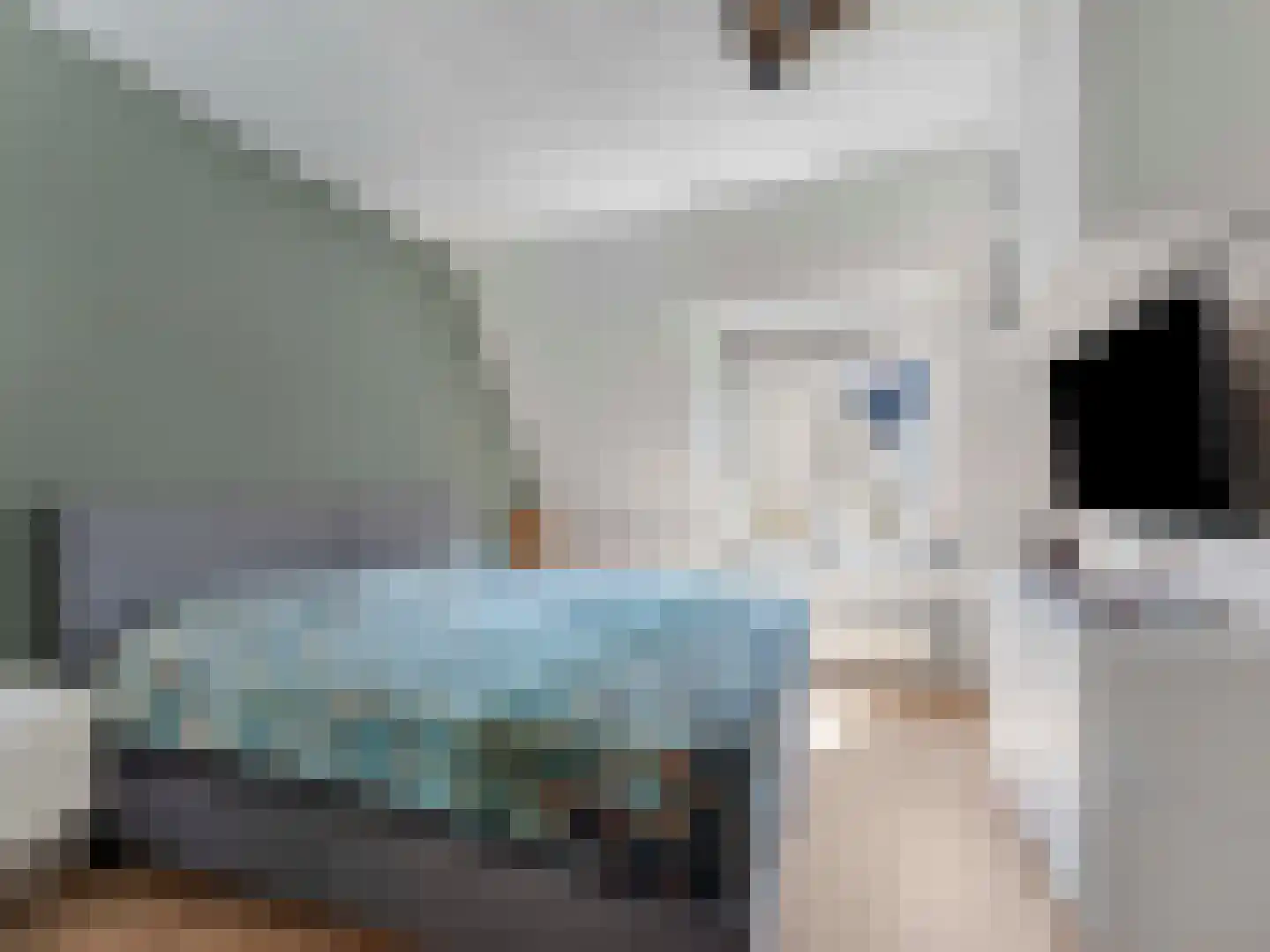 Kloksteeg 17 Utrecht thumbnail 5