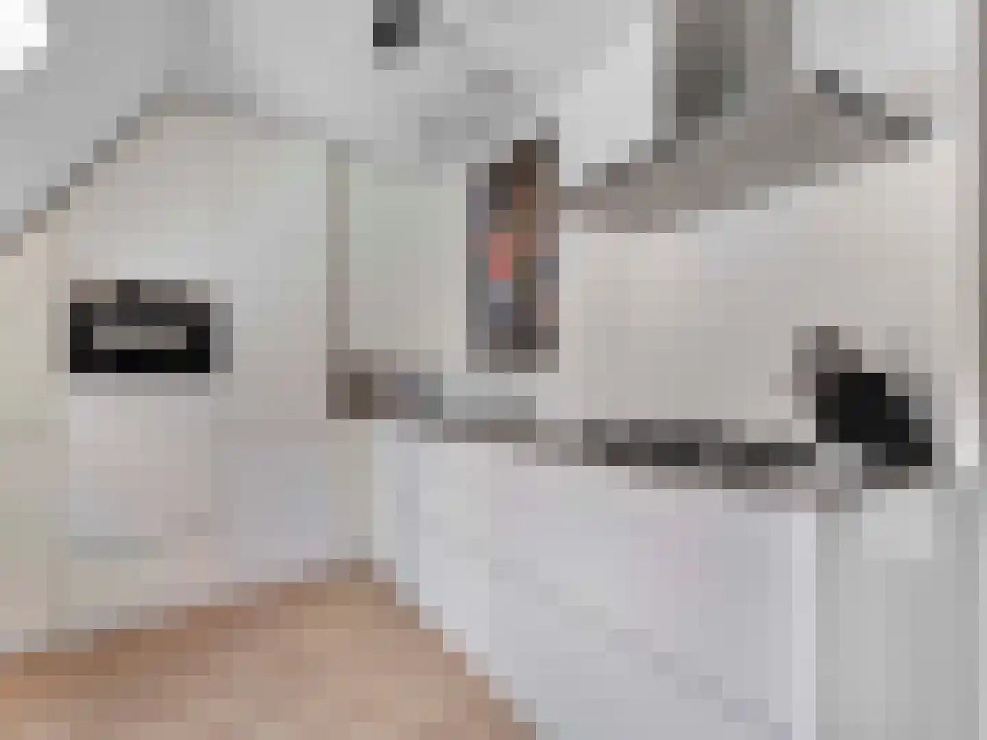 Kloksteeg 17 Utrecht thumbnail 5