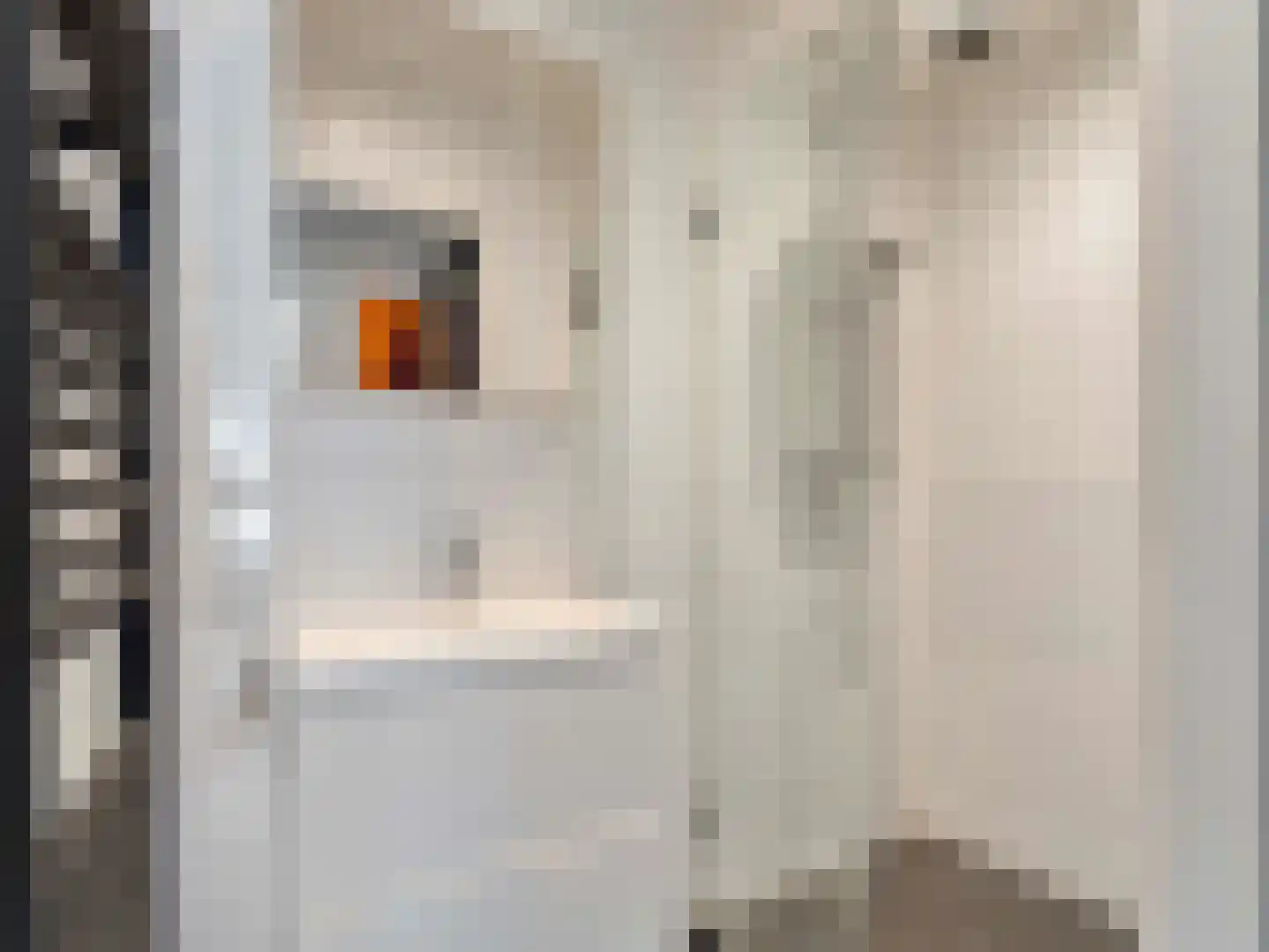 Kloksteeg 17 Utrecht thumbnail 6