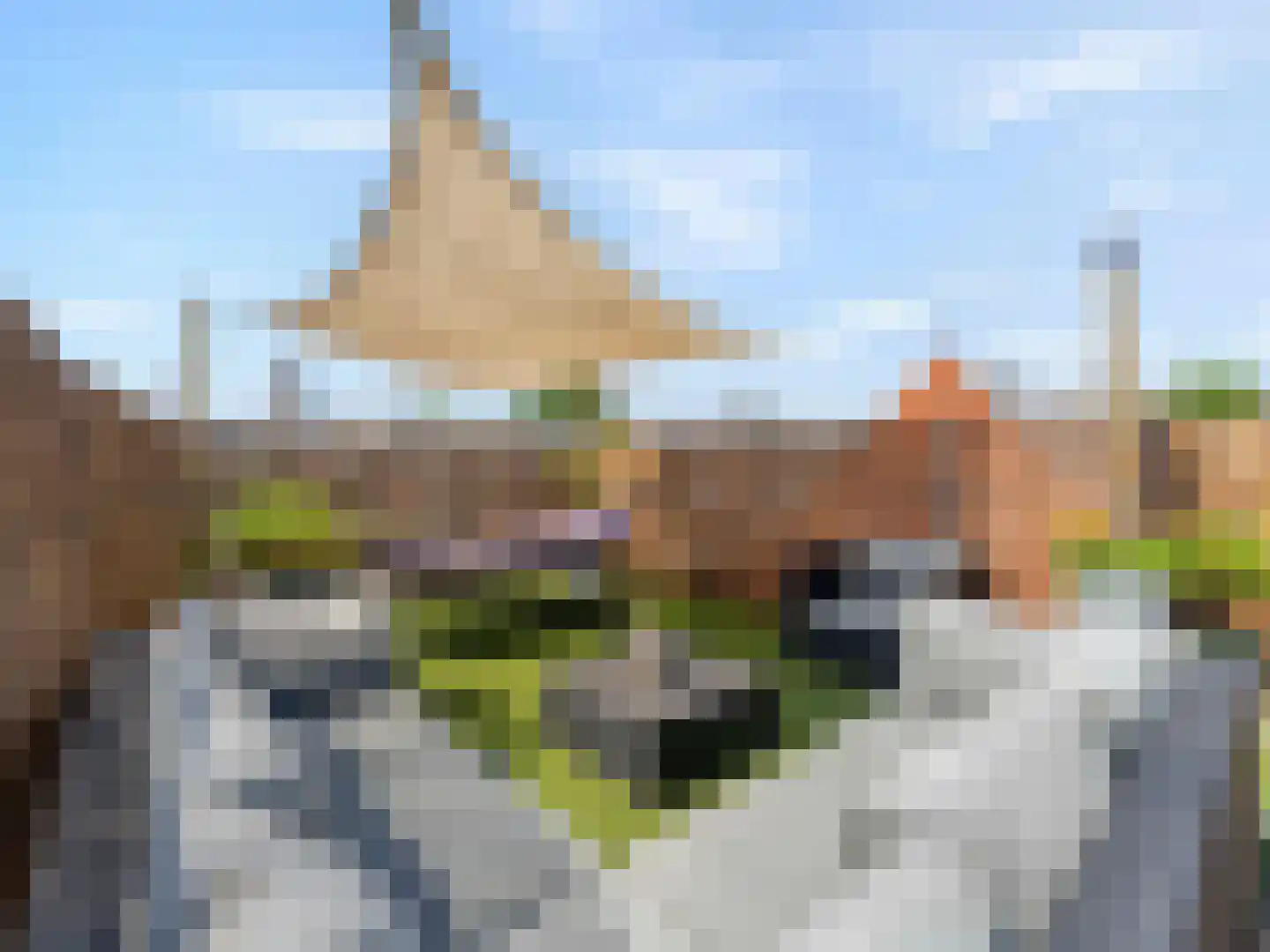 Kloksteeg 17 Utrecht thumbnail 7