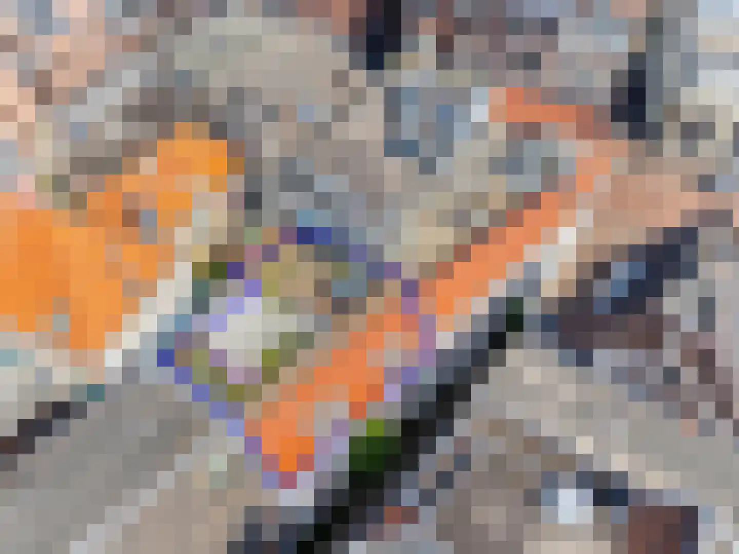 Kloksteeg 17 Utrecht thumbnail 9