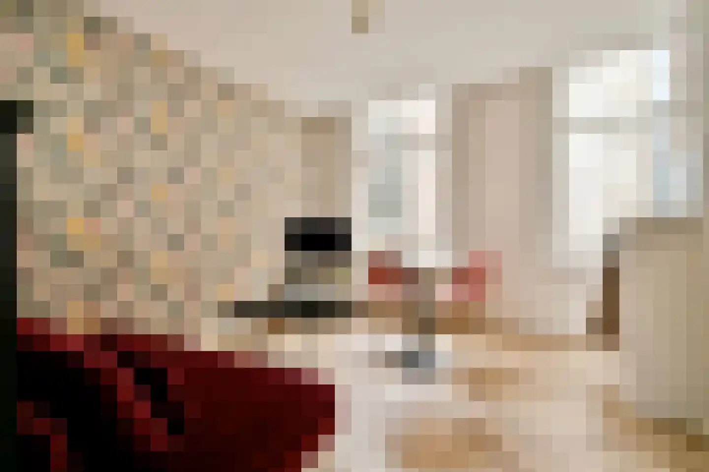 Kloksteeg 29 B Leiden thumbnail 11