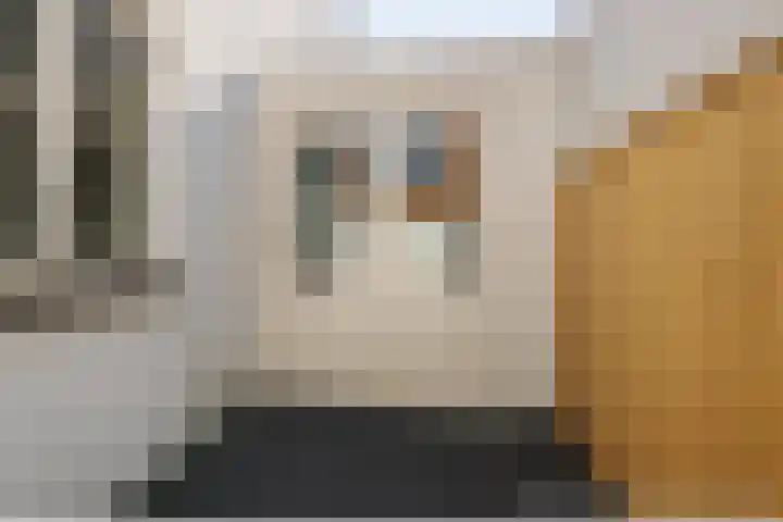 Kloksteeg 7 B Leiden thumbnail 22