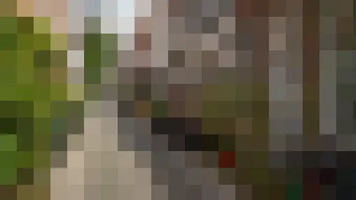 Kloksteeg 7 B Leiden thumbnail 5
