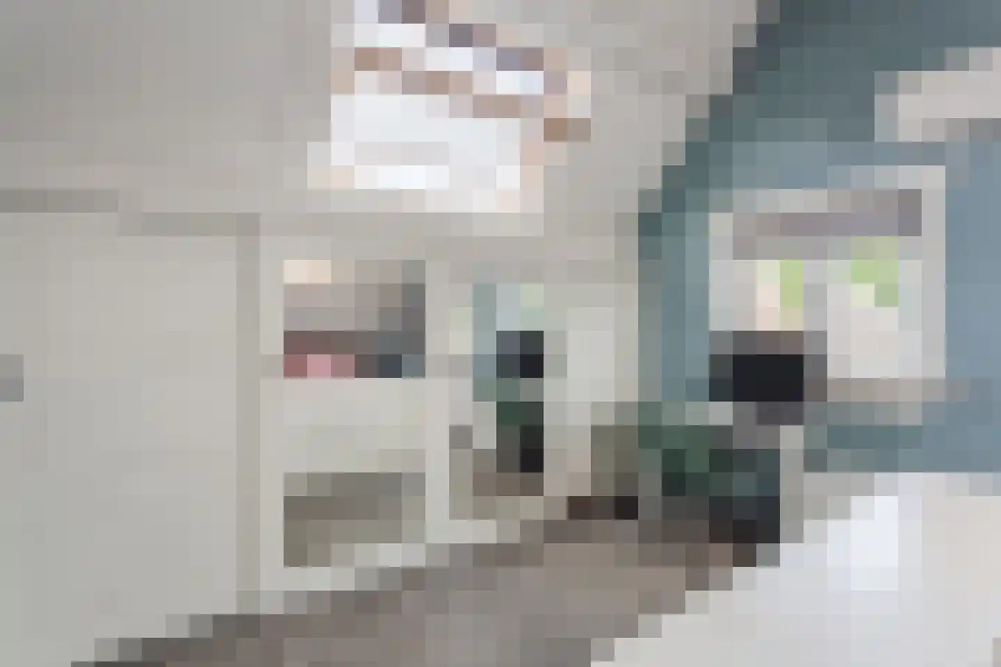 Klokstraat 18 Apeldoorn thumbnail 36