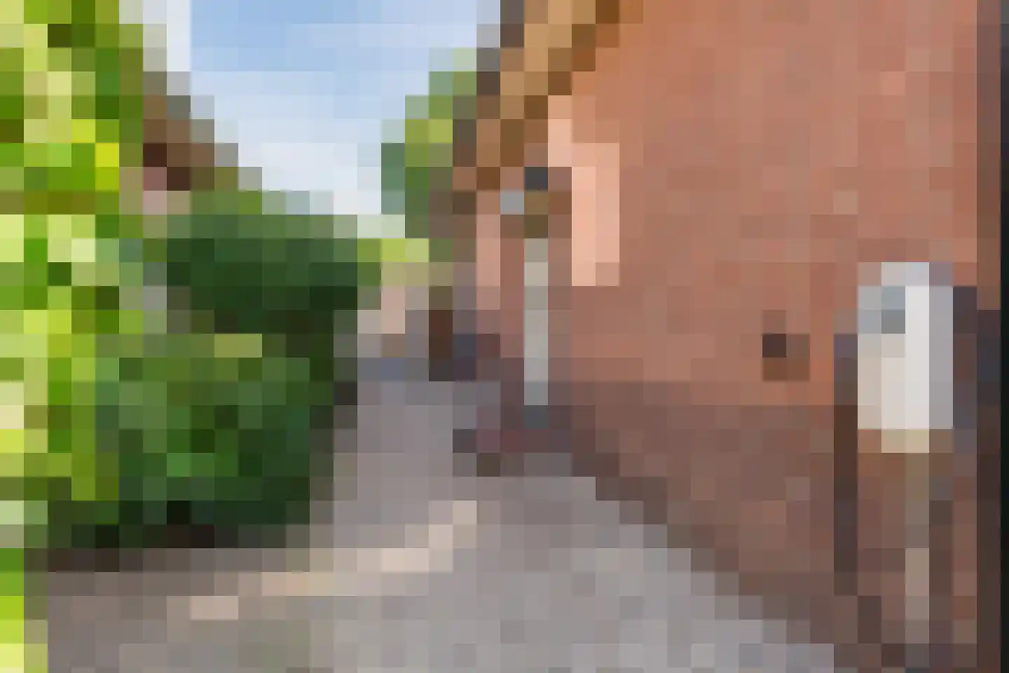 Klokstraat 18 Apeldoorn thumbnail 55