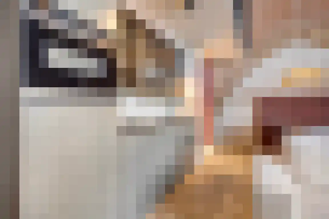 Klokstraat 20 202 Sluis thumbnail 10