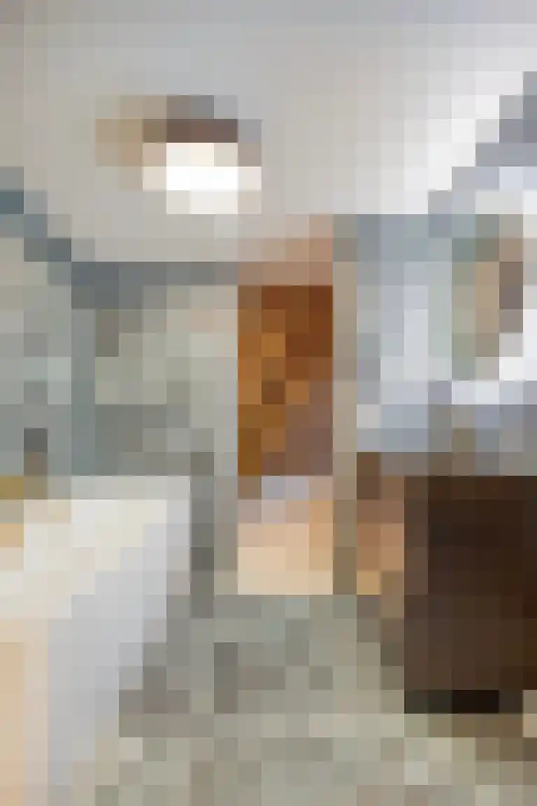 Klokstraat 20 202 Sluis thumbnail 19