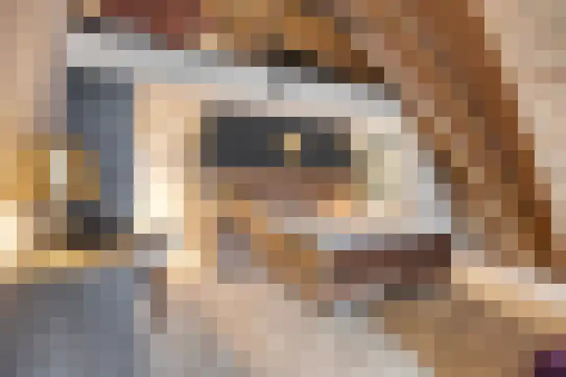Klokstraat 20 202 Sluis thumbnail 4