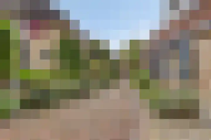 Klokstrjitte 9 Holwert thumbnail 35