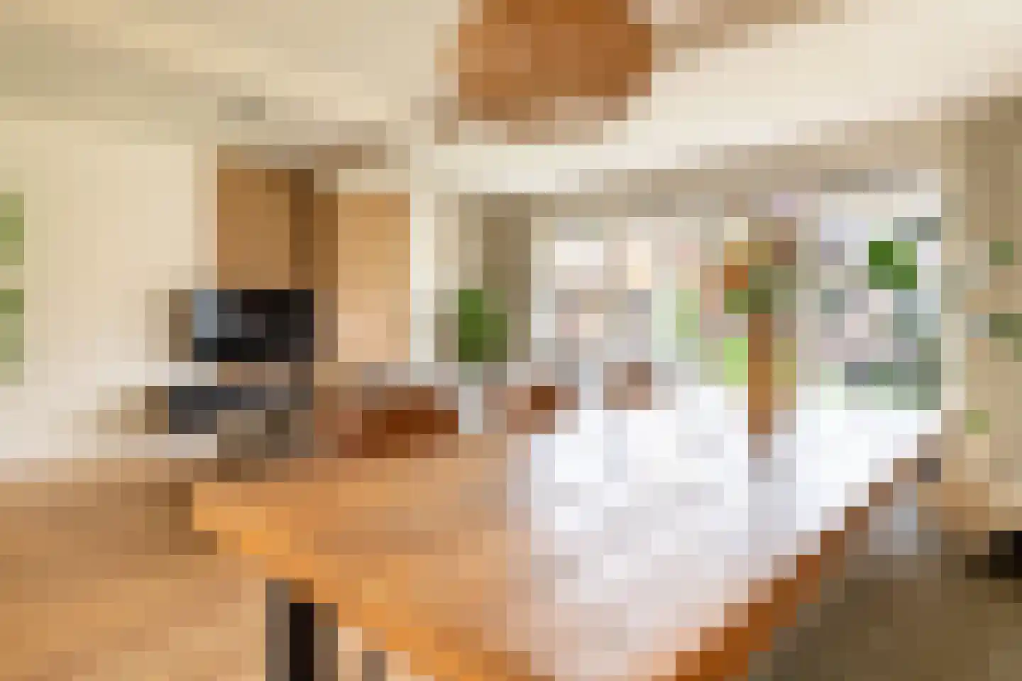 Klokwetering 34 's-Hertogenbosch thumbnail 12