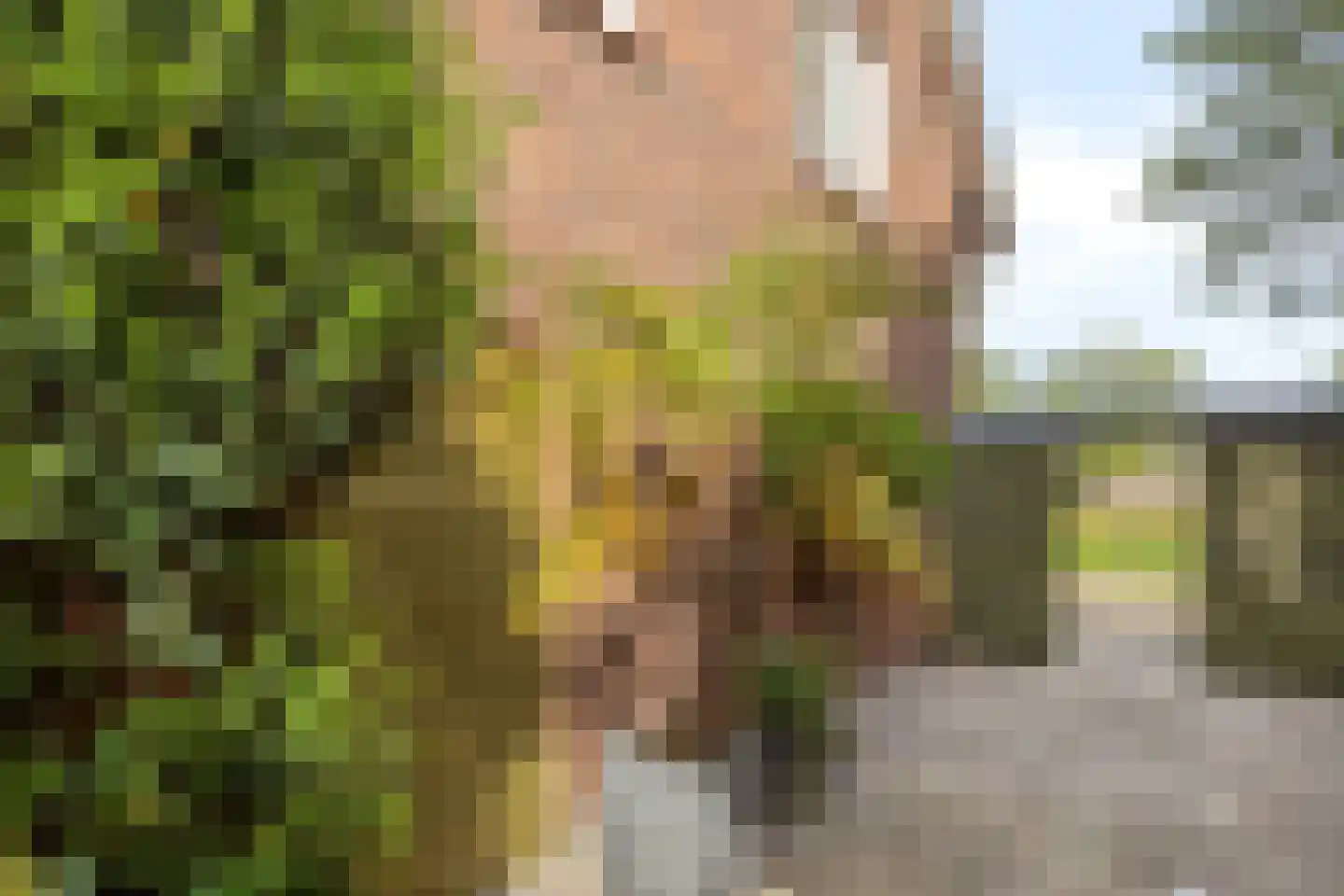 Klokwetering 40 's-Hertogenbosch thumbnail 20