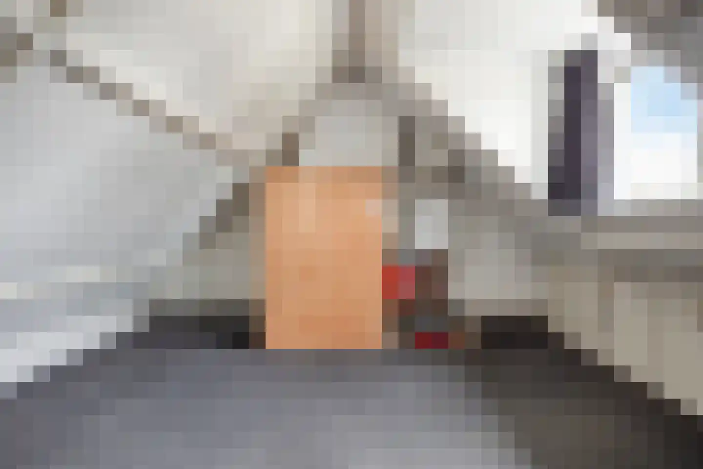 Klokwetering 40 's-Hertogenbosch thumbnail 30