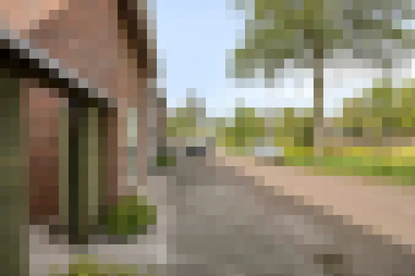 Klokwetering 40 's-Hertogenbosch thumbnail 35