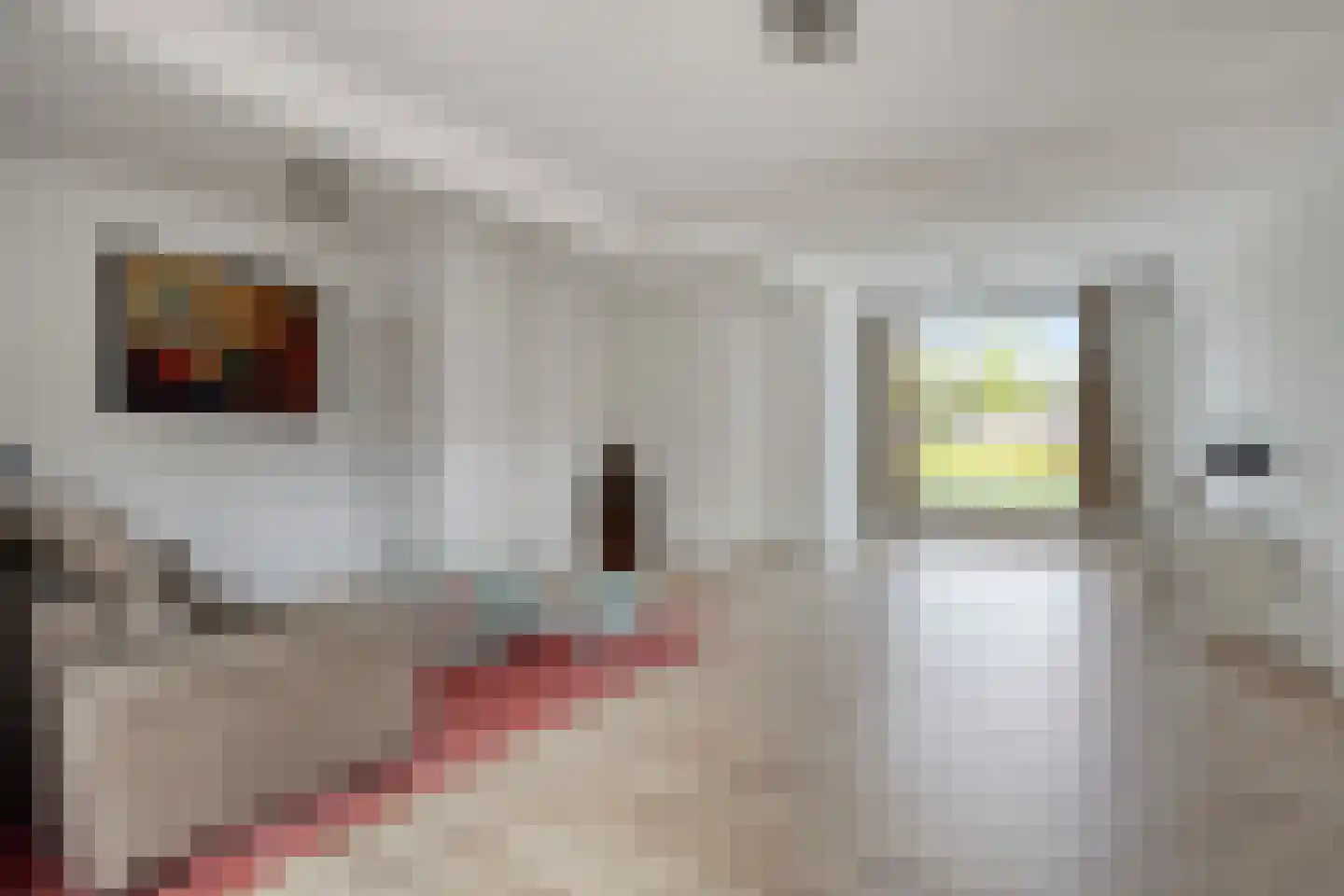 Klokwetering 40 's-Hertogenbosch thumbnail 7