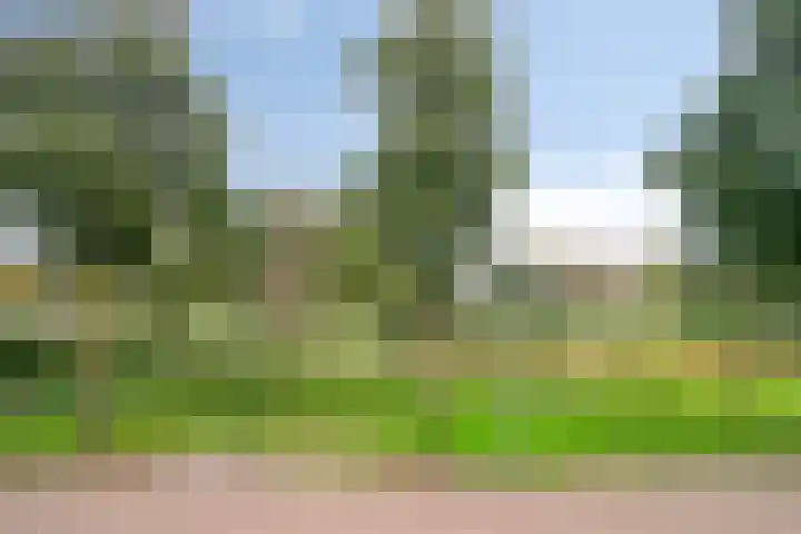 Klokwetering 68 's-Hertogenbosch thumbnail 34