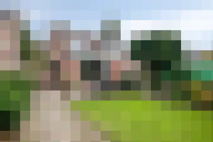 Klokwetering 68 's-Hertogenbosch thumbnail 35