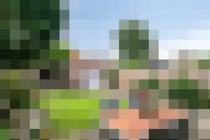 Klokwetering 68 's-Hertogenbosch thumbnail 37