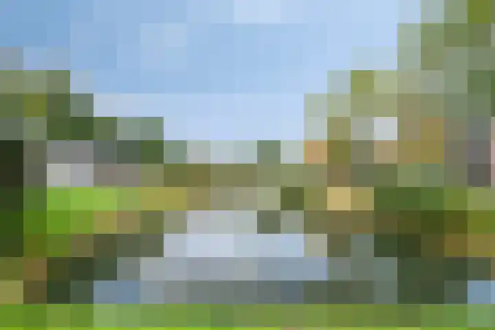 Klokwetering 68 's-Hertogenbosch thumbnail 38