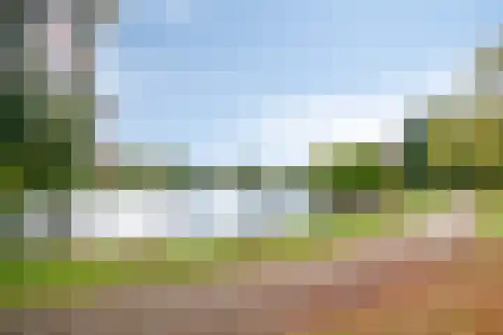 Klokwetering 68 's-Hertogenbosch thumbnail 39