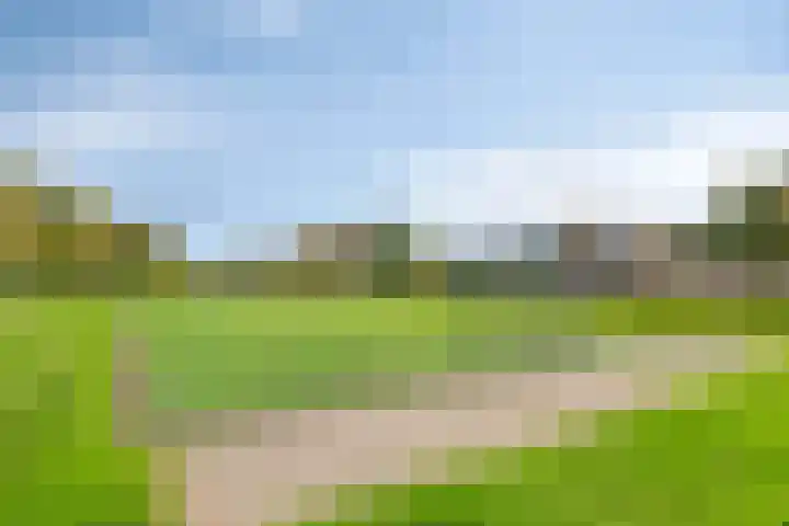 Klokwetering 68 's-Hertogenbosch thumbnail 40