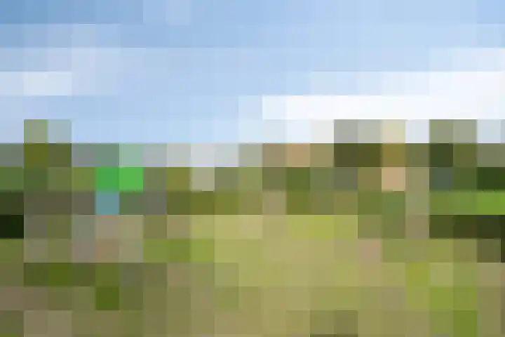 Klokwetering 68 's-Hertogenbosch thumbnail 41