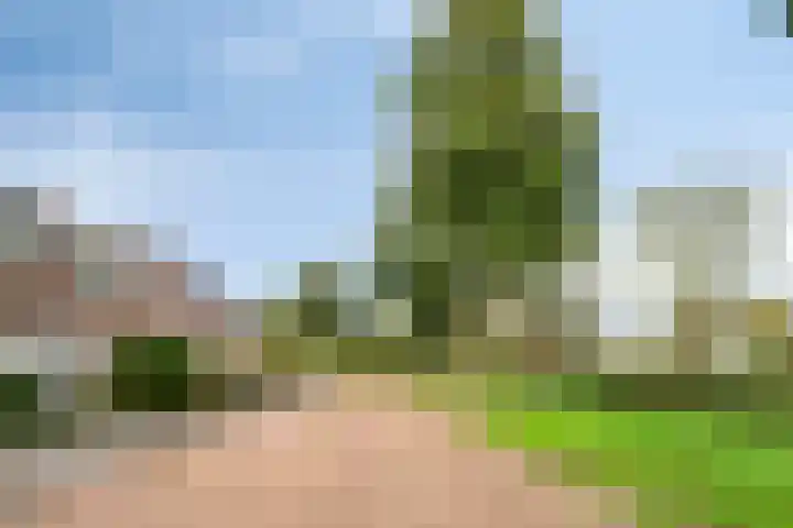 Klokwetering 68 's-Hertogenbosch thumbnail 6