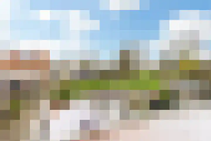 Klokwetering 80 's-Hertogenbosch thumbnail 29