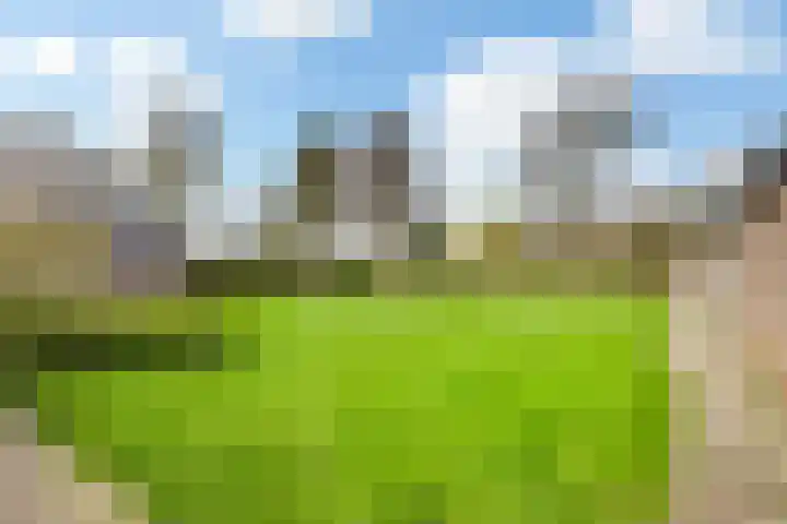 Klokwetering 80 's-Hertogenbosch thumbnail 35