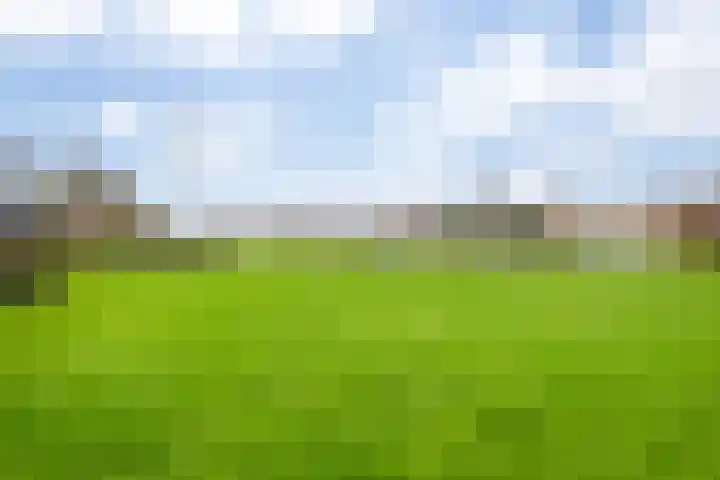 Klokwetering 80 's-Hertogenbosch thumbnail 36
