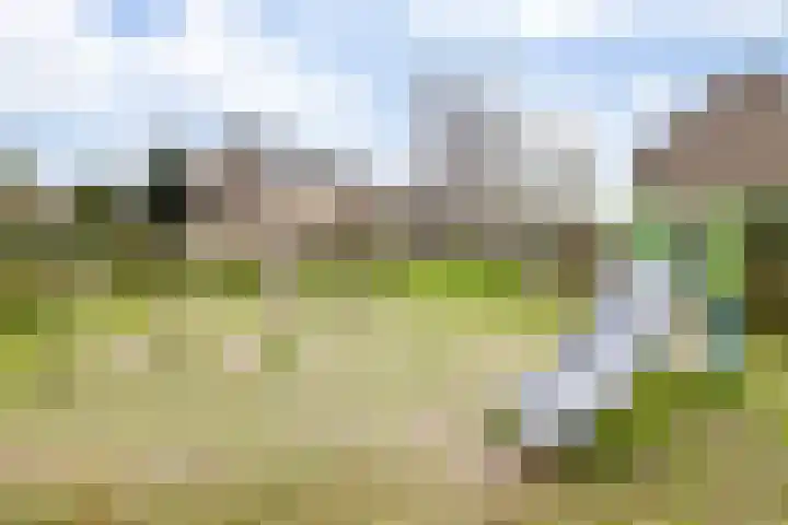 Klokwetering 80 's-Hertogenbosch thumbnail 37