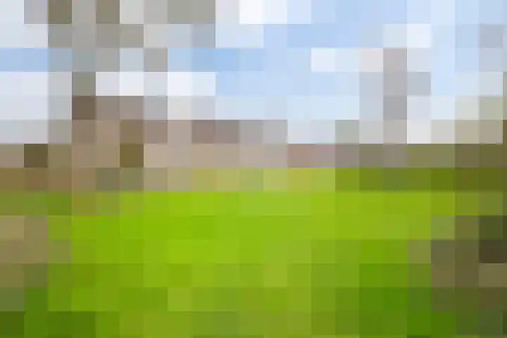 Klokwetering 80 's-Hertogenbosch thumbnail 38