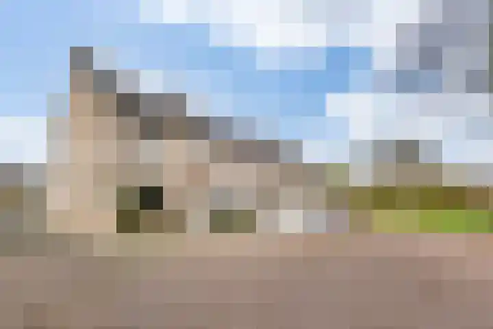 Klokwetering 80 's-Hertogenbosch thumbnail 7