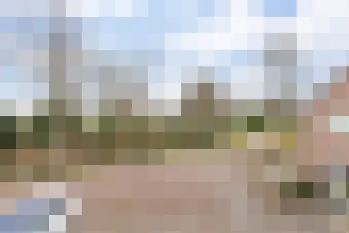 Klokwetering 80 's-Hertogenbosch thumbnail 8