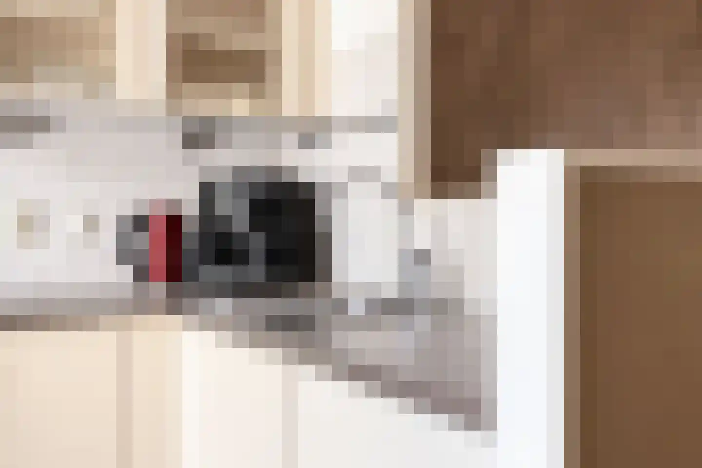Klompeind 19 Best thumbnail 23