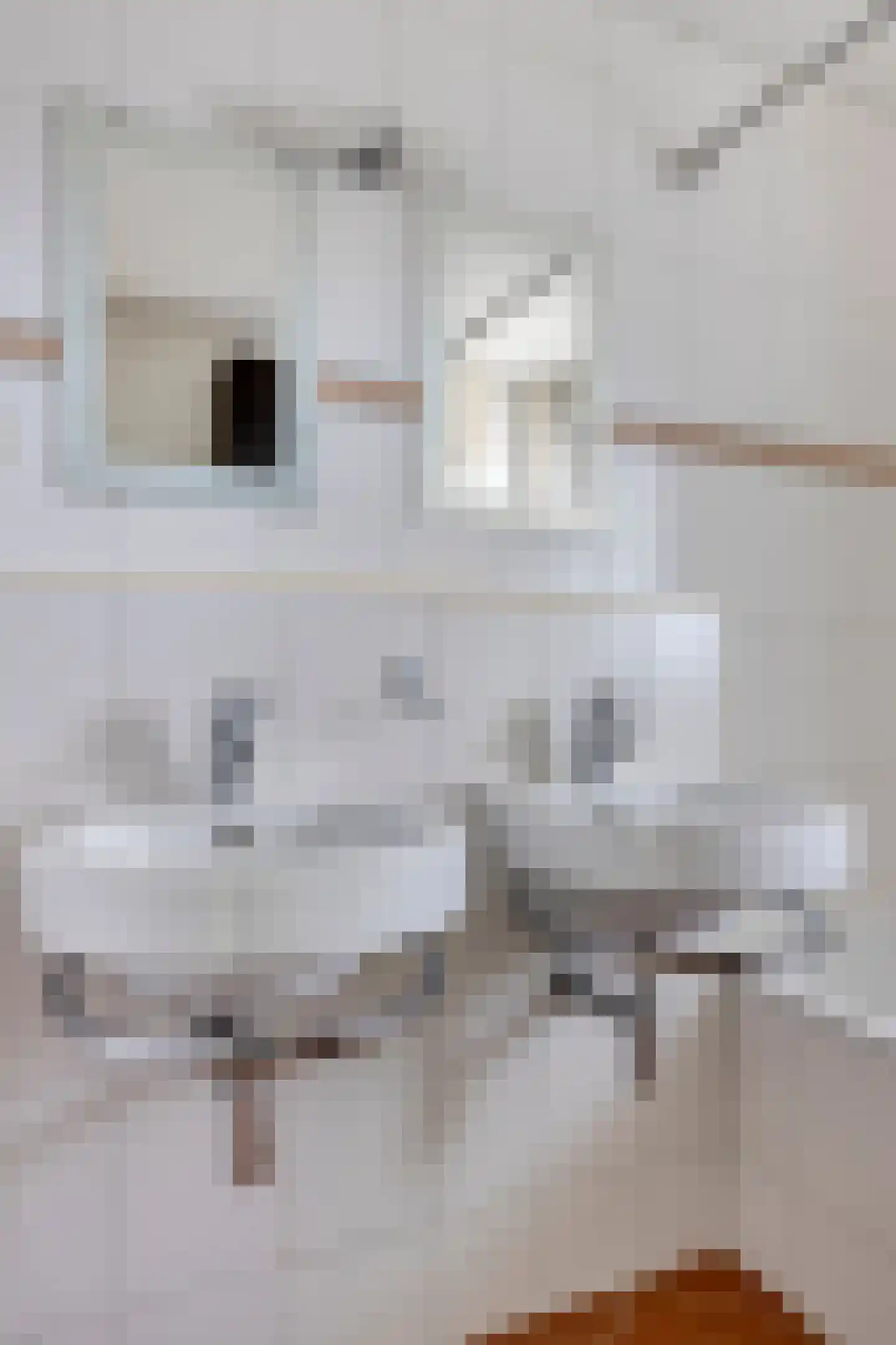 Klompeind 19 Best thumbnail 30