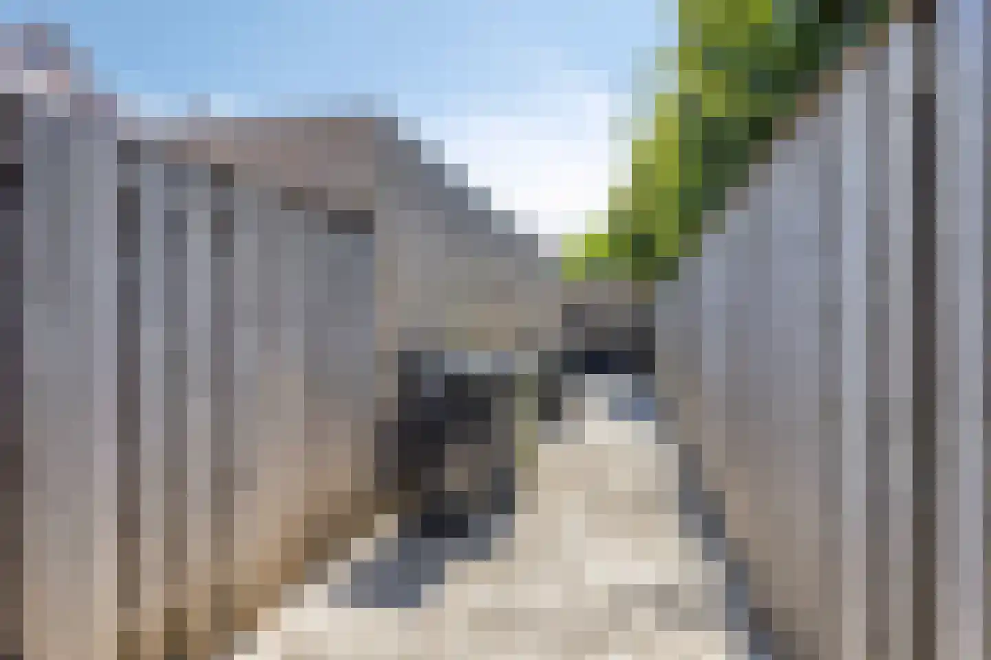Klompeind 19 Best thumbnail 43