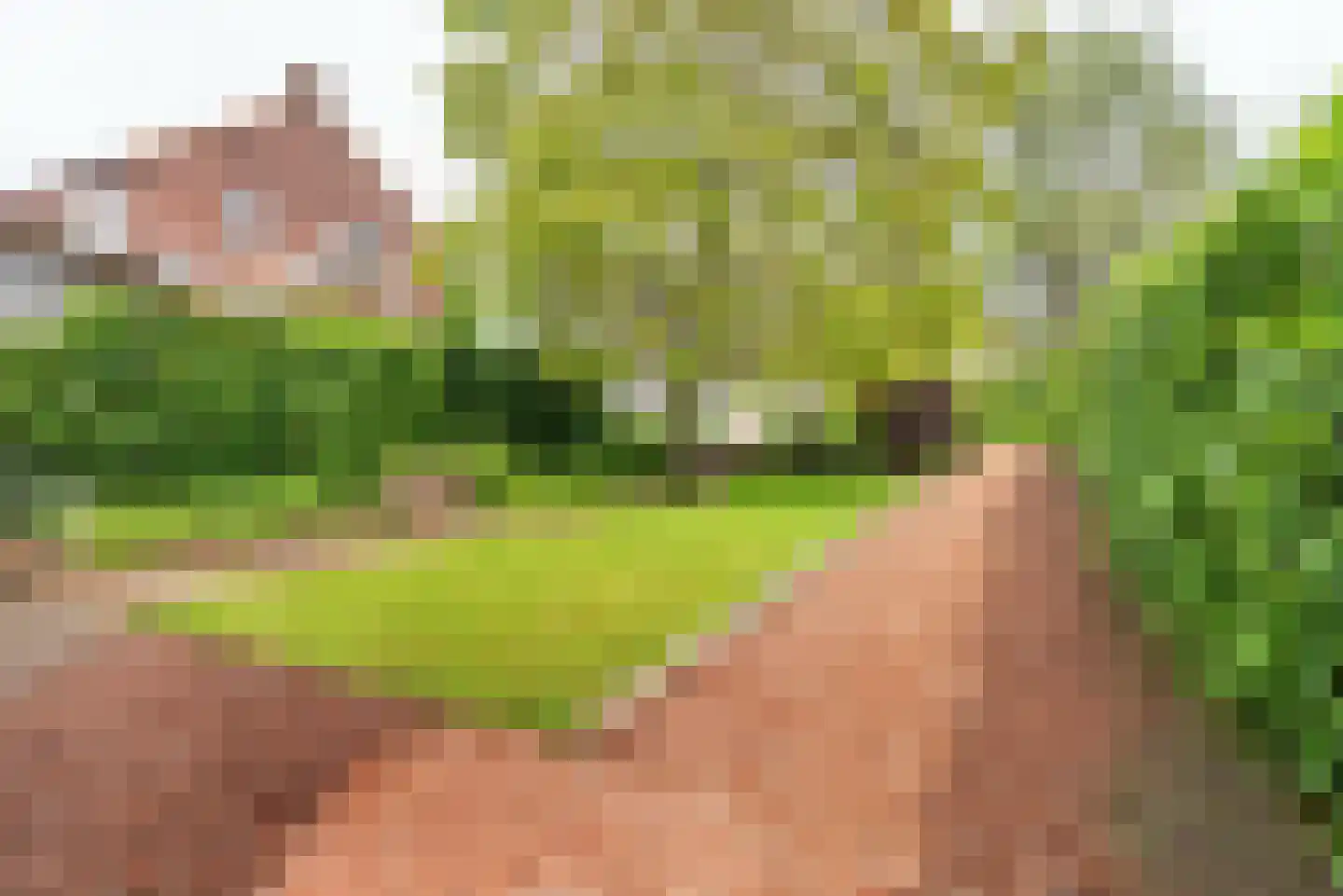 Klompendijk 2 Etten thumbnail 4