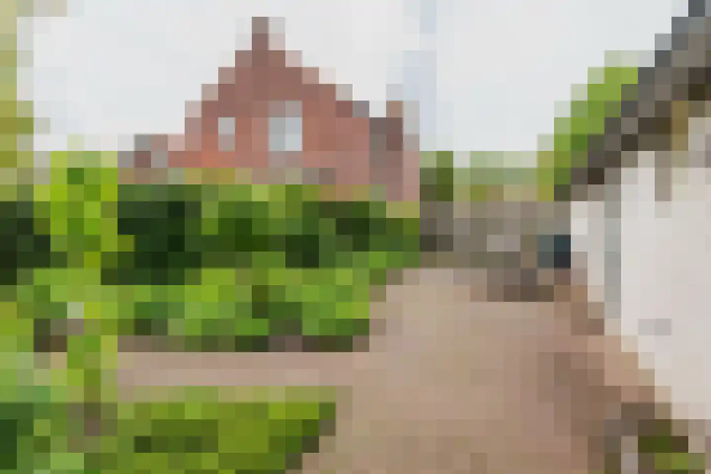 Klompendijk 2 Etten thumbnail 50