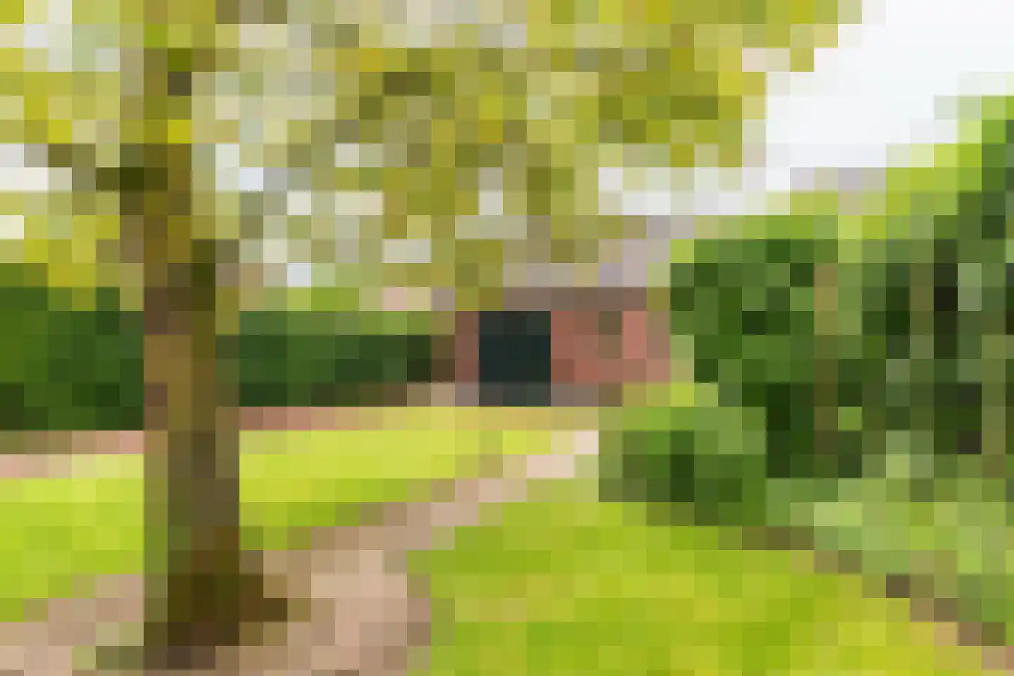 Klompendijk 2 Etten thumbnail 54