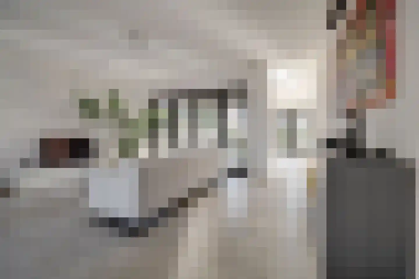 Klompenfabriek 25 Best thumbnail 4