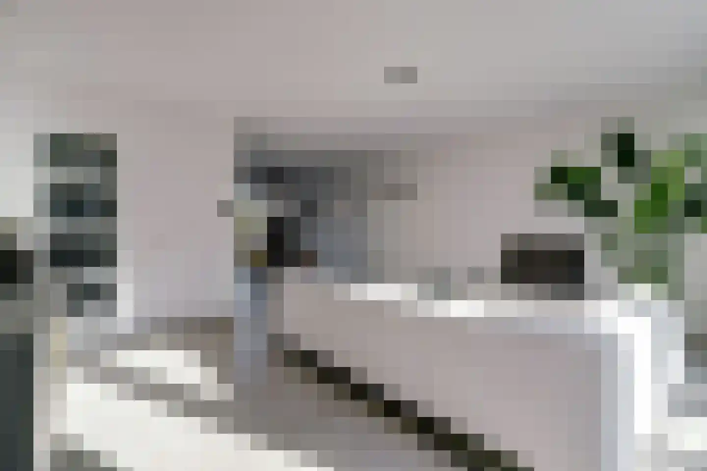 Klompenfabriek 25 Best thumbnail 5