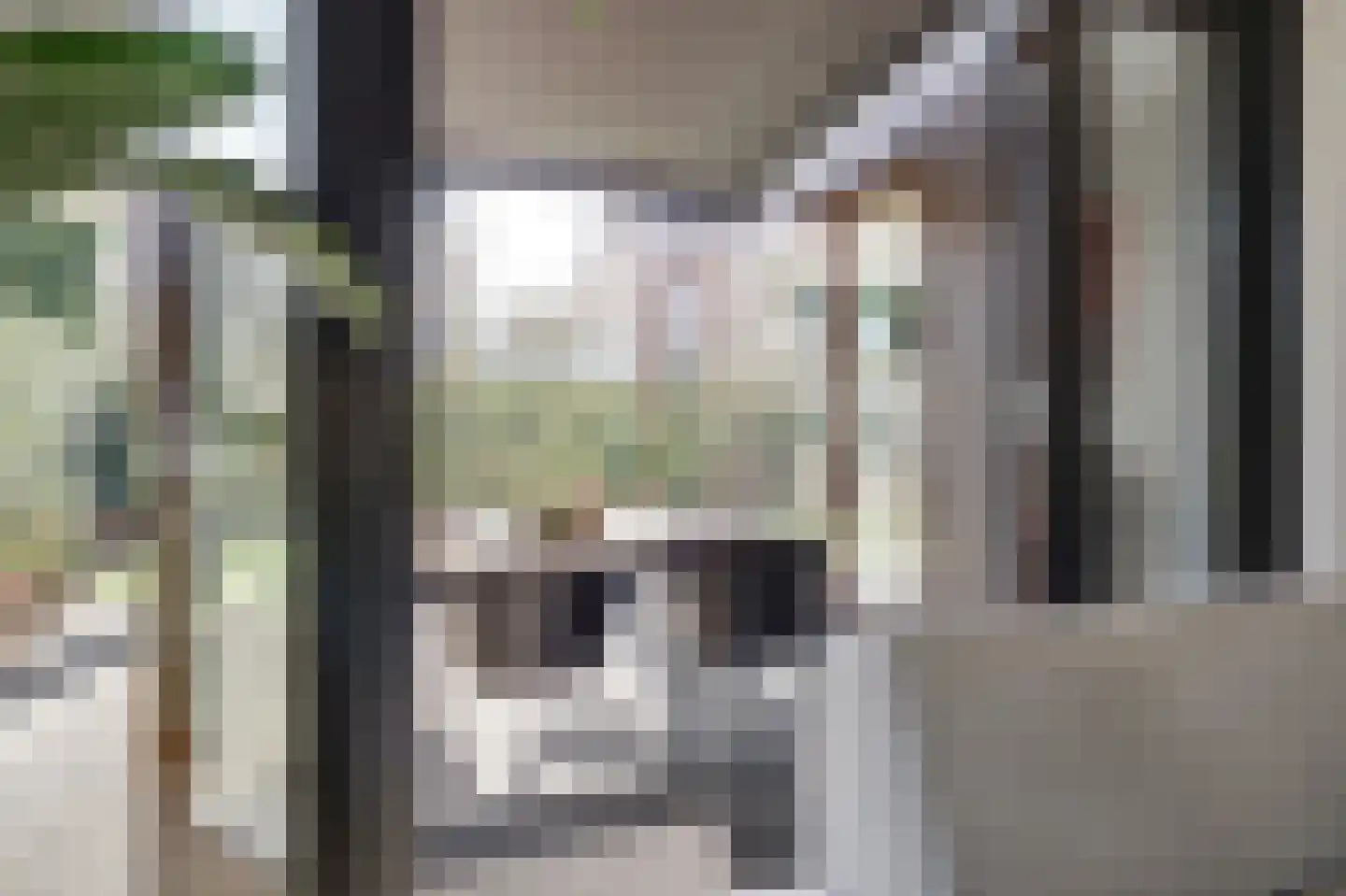 Klompenfabriek 25 Best thumbnail 8