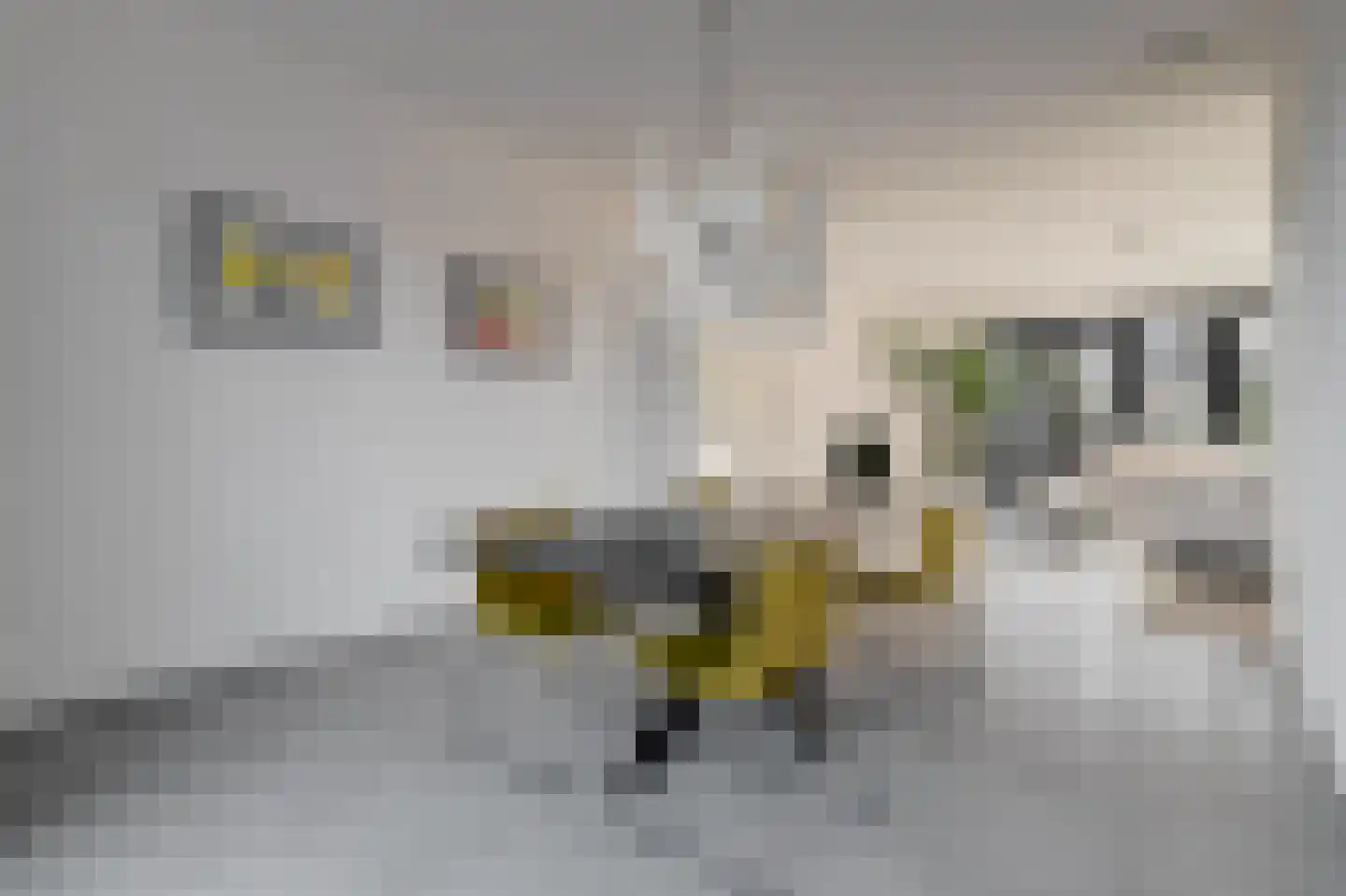 Klompenfabriek 25 Best thumbnail 9