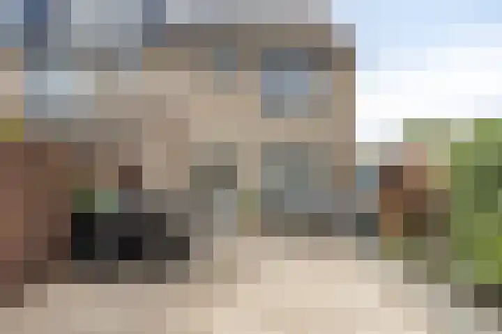 Klompenmaker 1 IJsselstein thumbnail 26